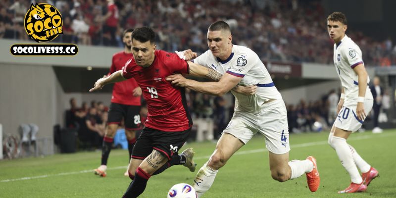 Thông tin cơ bản về trang web thể thao Socolive